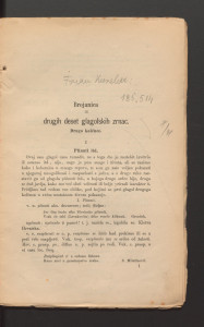 Brojanica ili drugih deset glagolskih zrnac : drugo kolěnce.