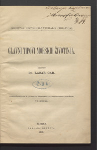 Glavni tipovi morskih životinja / napisao Lazar Car.