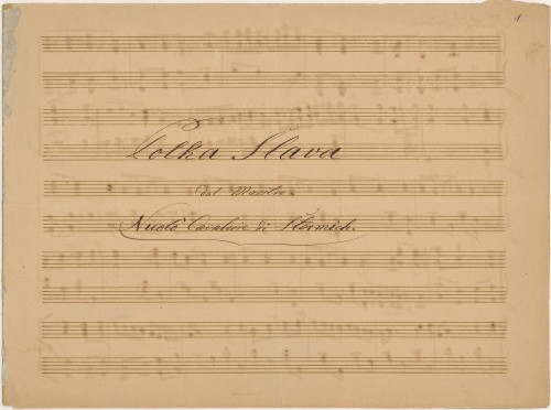 Polka slava   / del maestro Nicolo cavaliere di Stermich.