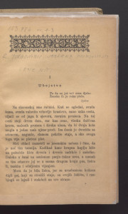 Žena i ljubovca / Rikarada Jorgovanića.