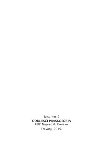 Odbljesci praskozorja / Ivica Kesić