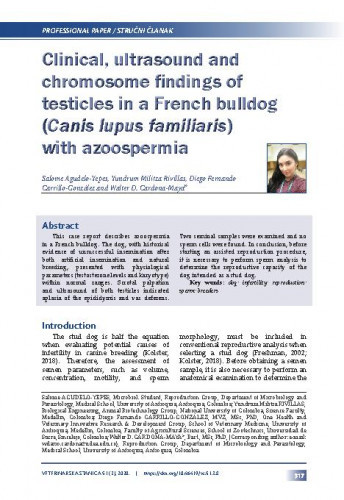 Clinical, ultrasound and chromosome findings of testicles in a French bulldog (Canis lupus familiaris) with azoospermia / Salome Agudelo-Yepes, Yundrum Militza Rivillas, Diego Fernando Carrillo-González, Walter D. Cardona-Maya.