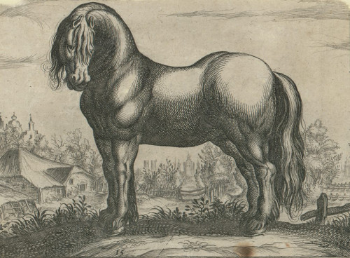 [Frizijski konj]  / [Nepoznati autor prema Antoniu Tempesti].