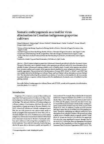 Somatic embryogenesis as a tool for virus elimination in Croatian indigenous grapevine cultivars / Nenad Malenica, Mateja Jagić, Bruno Pavletić, Nataša Bauer, Darko Vončina, Goran Zdunić, Dunja Leljak Levanić.