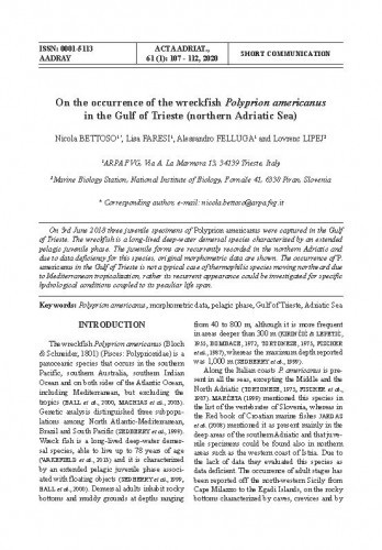 On the occurrence of the wreckfish Polyprion americanus in the Gulf of Trieste (northern Adriatic Sea) / Nicola Bettoso, Lisa Faresi, Alessandro Felluga, Lovrenc Lipej.