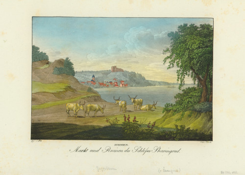 Syrmien   : Markt und Ruinen des Schlosses Sharingrad  / [Adolph Friedrich] Kunike ; [prema Jakobu Altu].