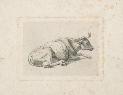 [Studija krave]  / [prema Raphaelu Winteru]