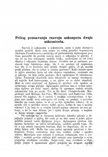 Prilog poznavanju razvoja askospora dvaju askomiceta /[autor S. Gjurašin].