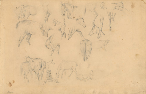 [Studije konja] : [iz bilježnice crteža] / [Hugo Conrad von Hötzendorf].