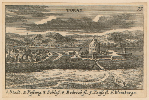 Tokay /[Jacob von Sandrart].
