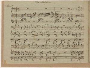 Der Südsturm  / componirt von Ferdinand Wiesner ; von Adolph Pichler