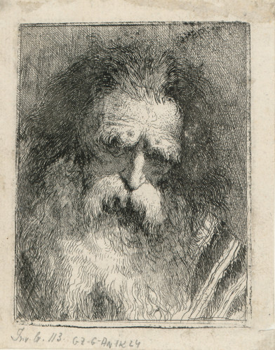 [Studija starca]   / [Giovanni Domenico Tiepolo prema crtežu Giovannija Battiste Tiepola].