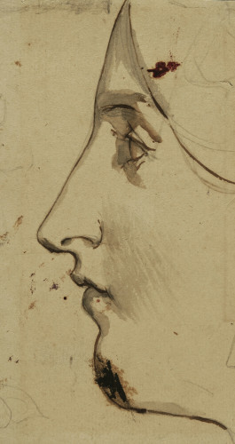 [Profil ženske glave] / [Friedrich Amerling].