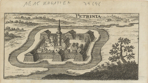 Petrinia. 