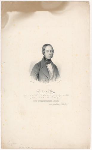 D. Julius Helm / Gabriel Decker; [prema crtežu Julie Forstern].