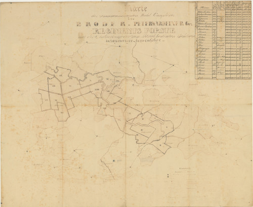 Karte des zusammenhängenden Wald Complexes der Broder & Peterwardeiner Grz. Regiments Forste.